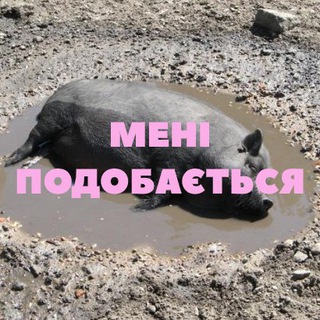 Telegram profile photo for мені подобається це мистецтво