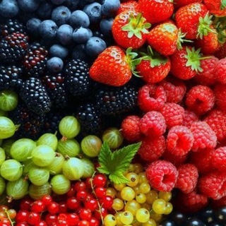 Telegram group profile photo for СВЕЖИЕ ФРУКТЫ И ОВОЩИ ПО ОПТОВЫМ ЦЕНАМ | МОСКВА | БЕСПЛАТНАЯ ДОСТАВКА ДО ПОДЪЕЗДА ЧАТ