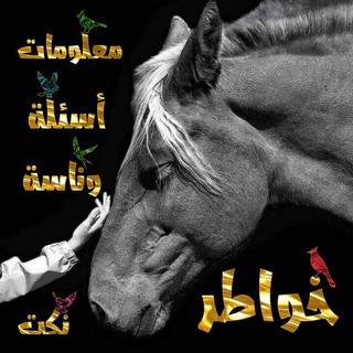 Telegram profile photo for اليمن أصل العرب 🇾🇪