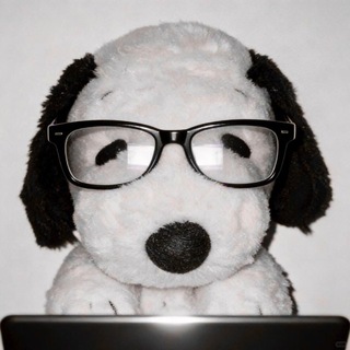 Telegram profile photo for vina/vv