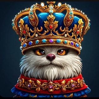 Telegram profile photo for KingCoin-новости