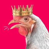 Telegram profile photo for ВСЁ ЭТО ОДИН И ТОТ ЖЕ КИДАЛА @DGurant @garanttgr @Garant_Exp