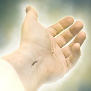 Telegram profile photo for 1Gospel-1day