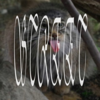 Telegram profile photo for streetflams31