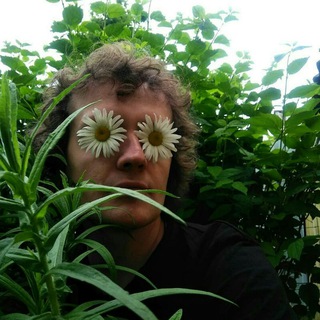 Telegram profile photo for Кабачок Тертишного