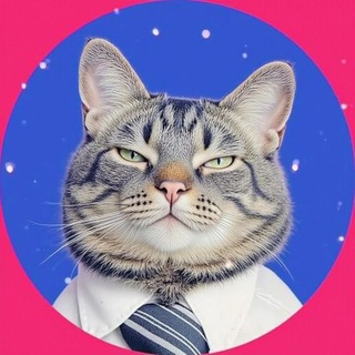 Telegram profile photo for GATO TRADER CRYPTO 😼💲