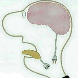 Telegram profile photo for پایتخت خنده و سیاست
