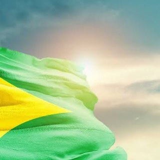 Telegram profile photo for Brasil