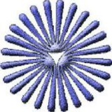 Telegram profile photo for دانشگاه پیام نور فسا