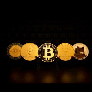 Telegram group profile photo for Platforms