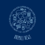 Telegram profile photo for πβπ¦Ί ANIMALI NEWS πββ¬