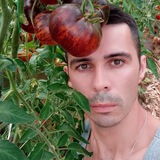 Telegram profile photo for 🍅Лёшкин огород🍅 Leshkin_ogorod