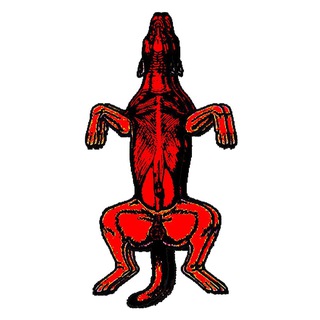 Telegram profile photo for ред догс