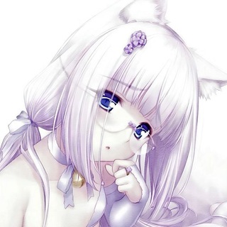 Telegram profile photo for 🪽