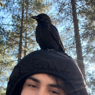 Telegram profile photo for دِیلی از روی بیمِیلی