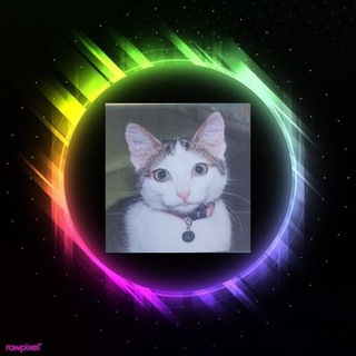 Telegram profile photo for Логово BORIK