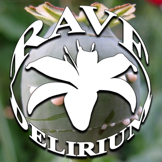 Telegram profile photo for RAVE DELIRIUM