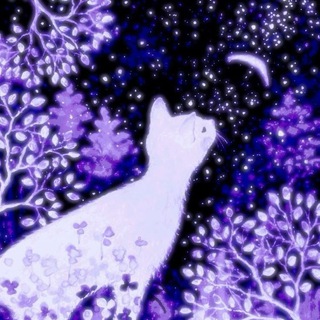 Telegram profile photo for 🌌Midnight bloom🌸