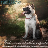 Telegram profile photo for Finnessiam Holistic Health