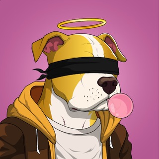Telegram profile photo for Lefty Alpha Calls