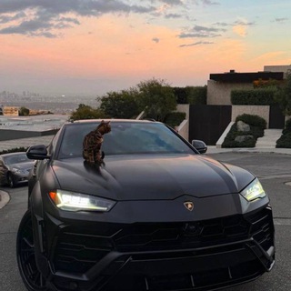 Telegram profile photo for hata чёрного