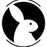 Telegram profile photo for Codied TOS