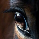 Telegram profile photo for دنـيـا مُـتـعـبـة ❤️🩹!