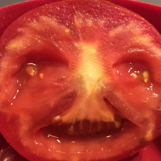 Telegram profile photo for Очерки Неровным Почерком