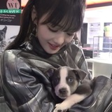 Telegram profile photo for переходник