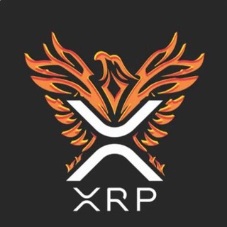 Telegram profile photo for Ripple XRP | Breaking News