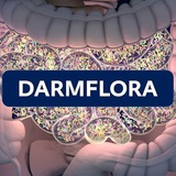 Telegram profile photo for Darmsanierung