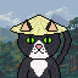 Telegram profile photo for Плохой TON