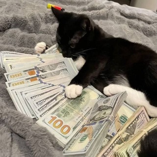 Telegram profile photo for Tom | ADS