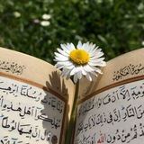 Telegram profile photo for دقائق مع الله 🌿