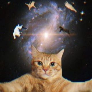 Telegram profile photo for ᴋᴏᴛᴇᴅʀᴅʀᴅʀ 🔥