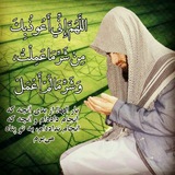 Telegram profile photo for الله اکبر