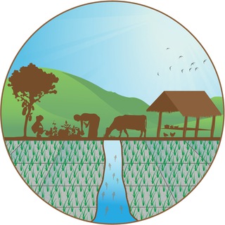 Telegram profile photo for CE SAIN Cambodia