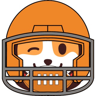 Telegram group profile photo for Mini NFL 🏈