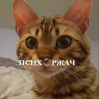 Telegram profile photo for психоржач