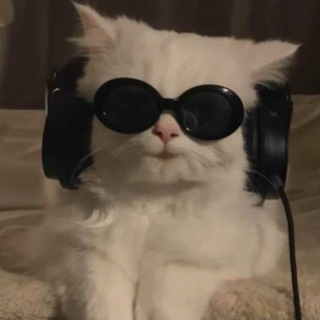Telegram profile photo for ๐ำาขะัะะ ๐ง๐๐ก๐ฌ๐ฆ๐จ ๐
