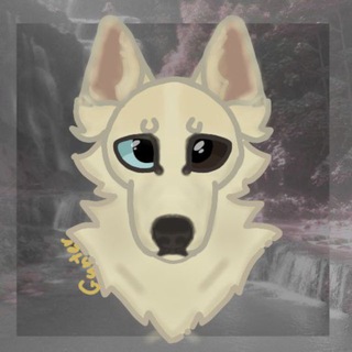 Telegram profile photo for dog Hasi🐾