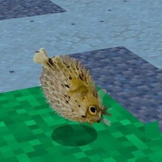 Telegram profile photo for 🐡громкий аквариум !!!!