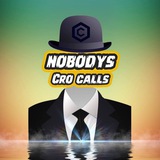 Telegram profile photo for Nobodys CRO Calls