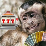 Telegram profile photo for Jakob’s Dice 🎲 - GAMBA GAMBA GAMBA