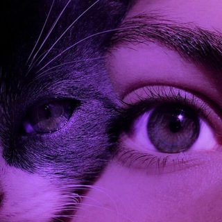 Telegram profile photo for π°π΄π
π
π·π΄π
πΈπ²