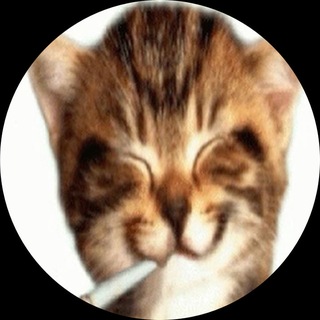 Telegram profile photo for based practice