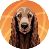 Telegram profile photo for TextTeo