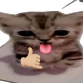 Telegram profile photo for Honkai:Star Rail Slicing:info