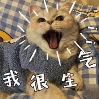Telegram profile photo for 头条曝光