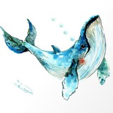 Telegram profile photo for WHALES ANNOUNCEMENTS